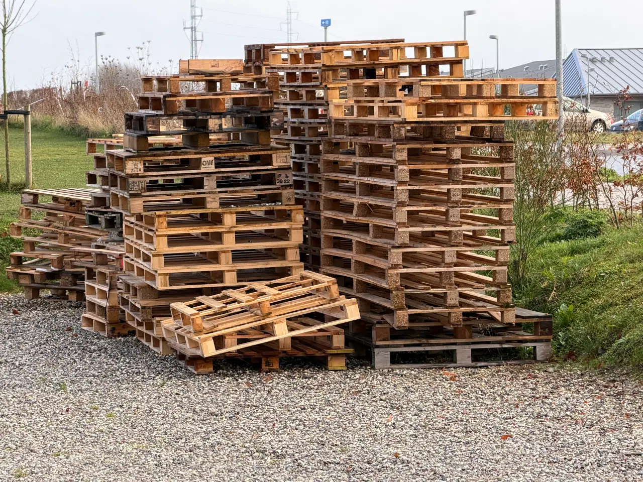 Billede 2 - Engangs paller