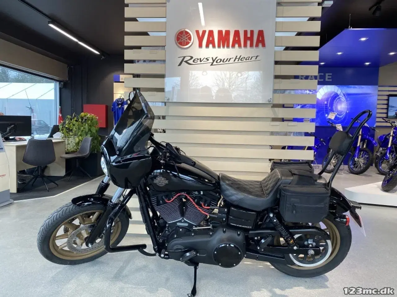 Billede 13 - Harley-Davidson FXDLS Dyna Low Rider S