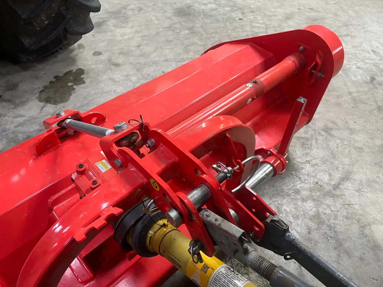 Billede 4 - Brakpudser maschio brava