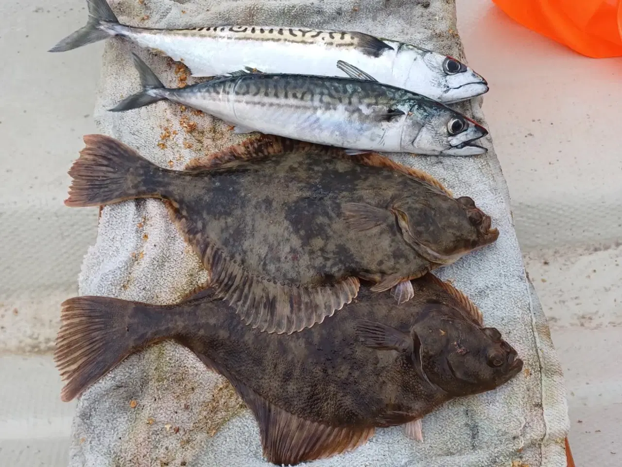 Billede 9 - 100 % Håndsyede garn til fladfisk Ørred/Laks