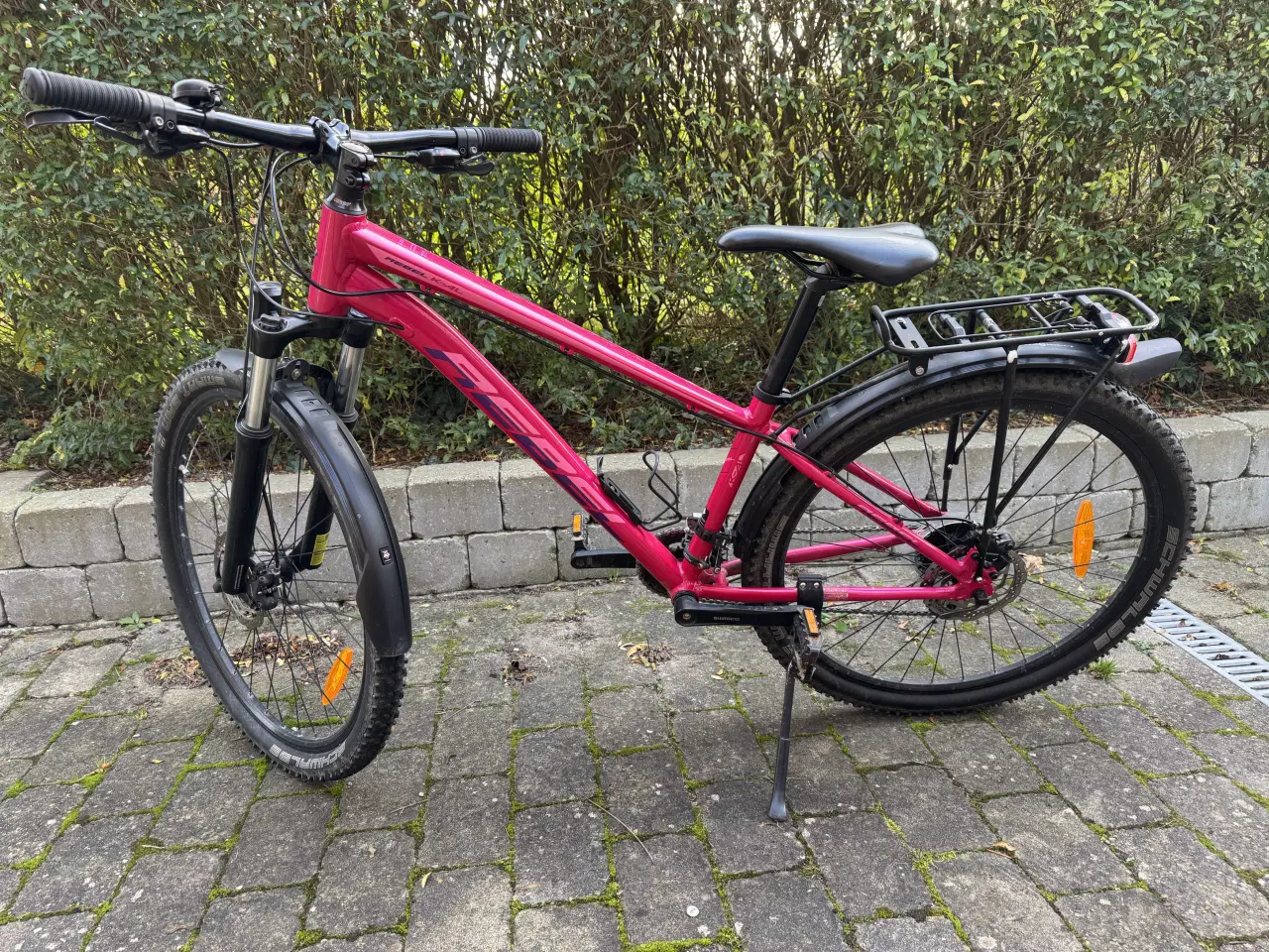 Billede 3 - SCO rebel