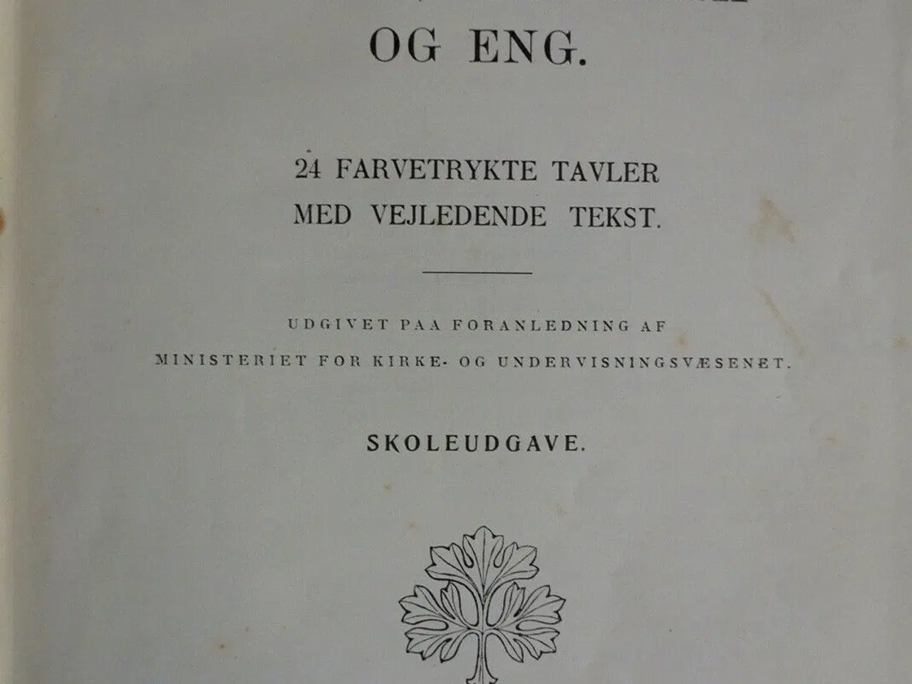 Billede 2 - vilde planter i have, paa mark og eng, af jakob e.