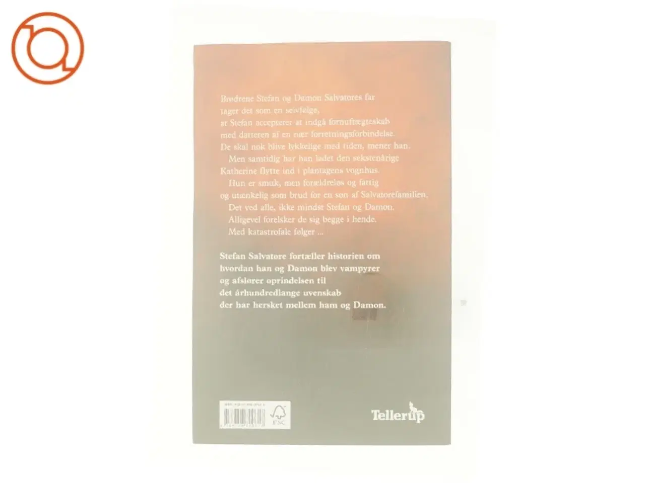 Billede 3 - The vampire diaries - Stefans fortælling. #1, Oprindelsen af L. J. Smith (Bog)