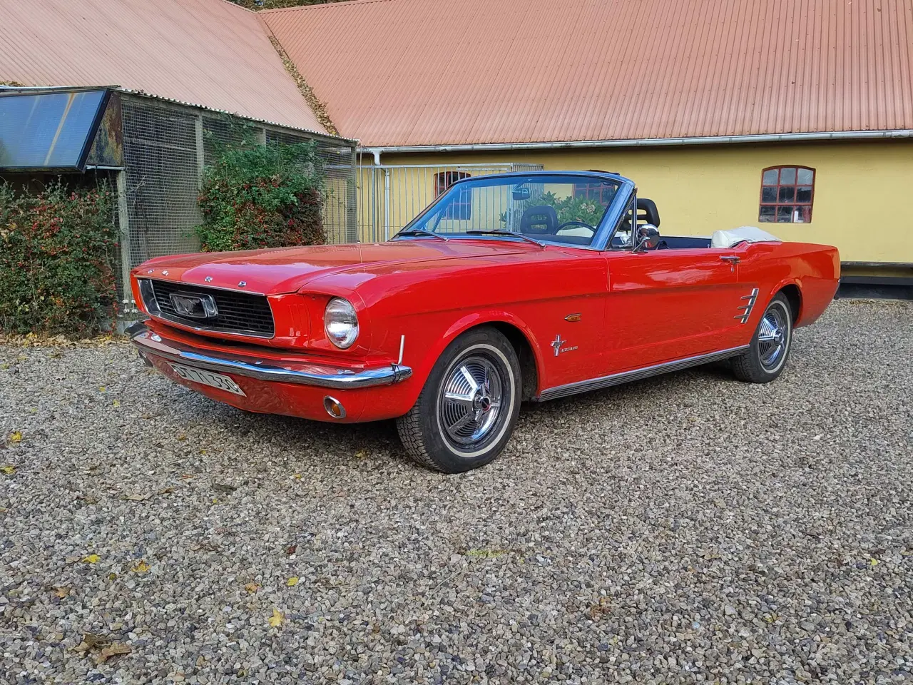 Billede 1 - Ford Mustang Convertible 