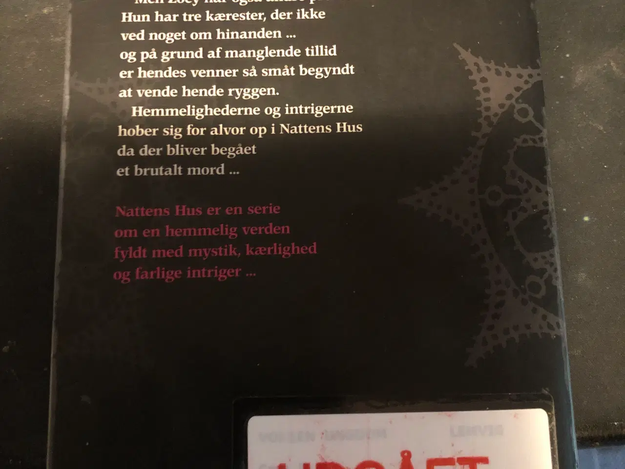 Billede 2 - Nattens hus 3 - udvalgt