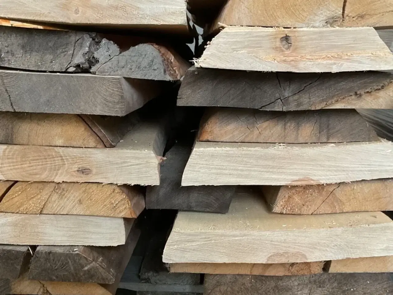 Billede 3 - Samlet parti birketræ, 61 stk