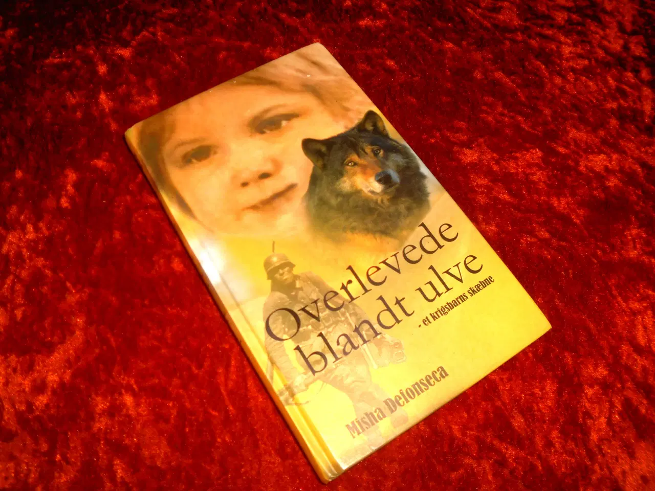 Billede 1 - Overlevede blandt ulve, Misha Defonseca,