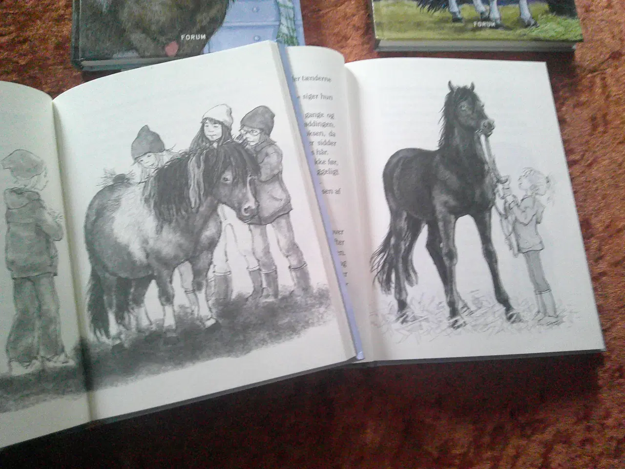 Billede 4 - Teddy,  Lin Hallberg