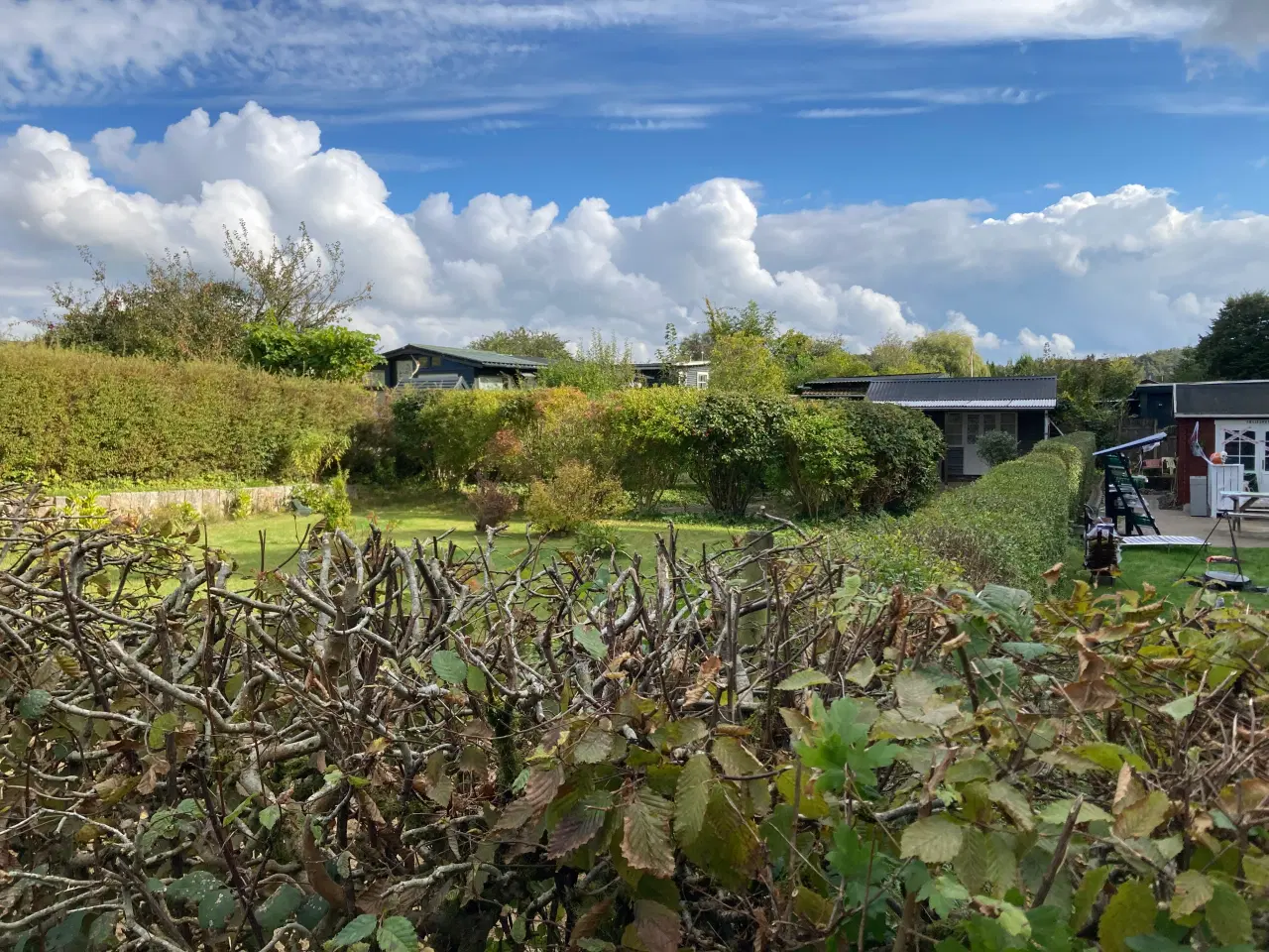 Billede 2 - Mormors kolonihavehus ved Nørreskoven