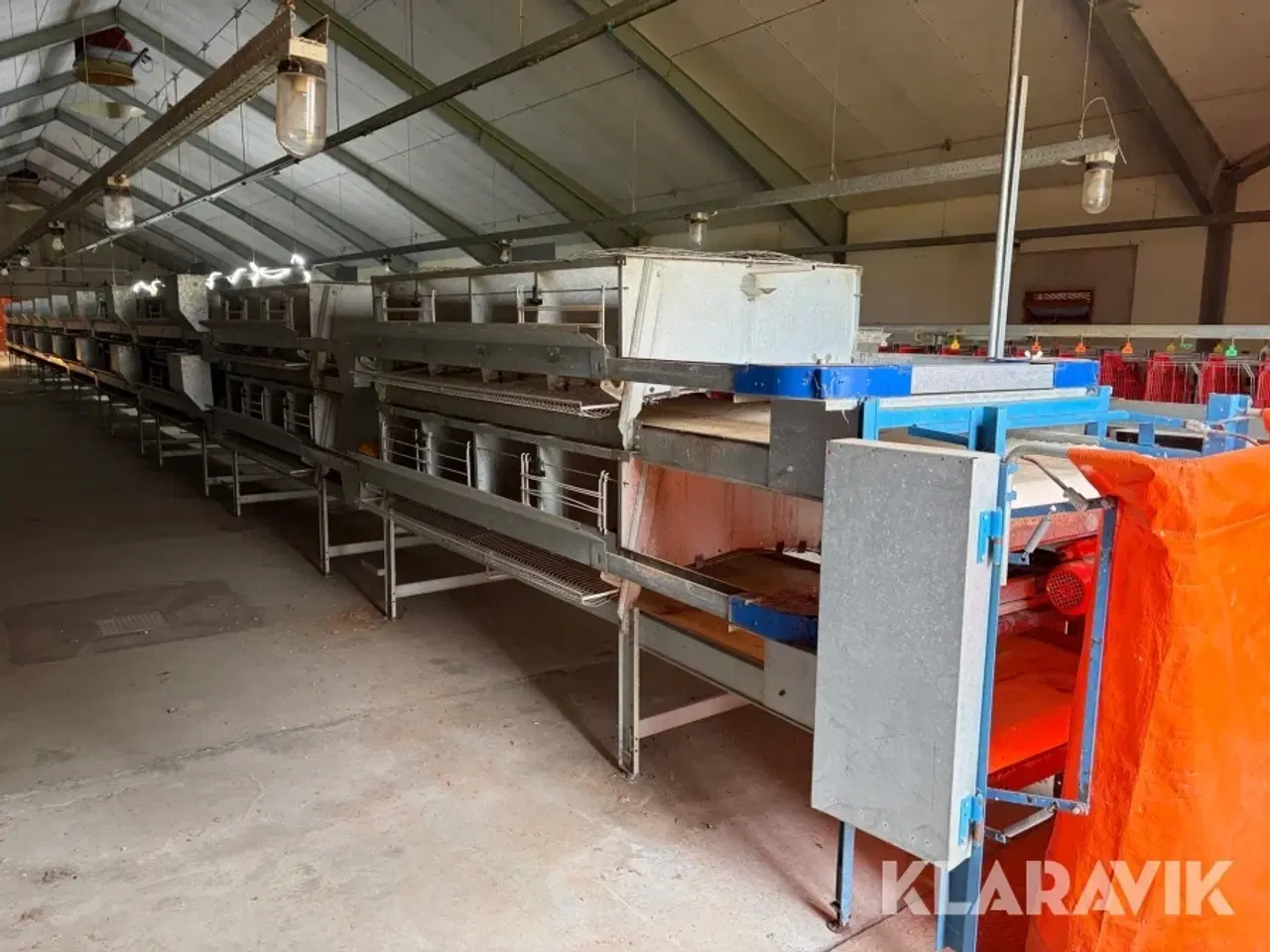 Billede 7 - Produktionslinje Big Dutchman + Landmeco æglægger system