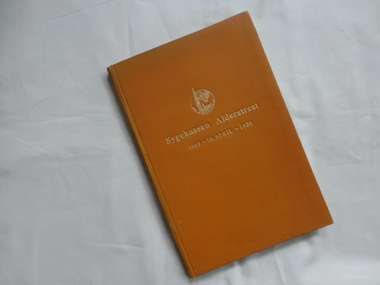 Billede 1 - Sygekassen Alderstrøst 1888