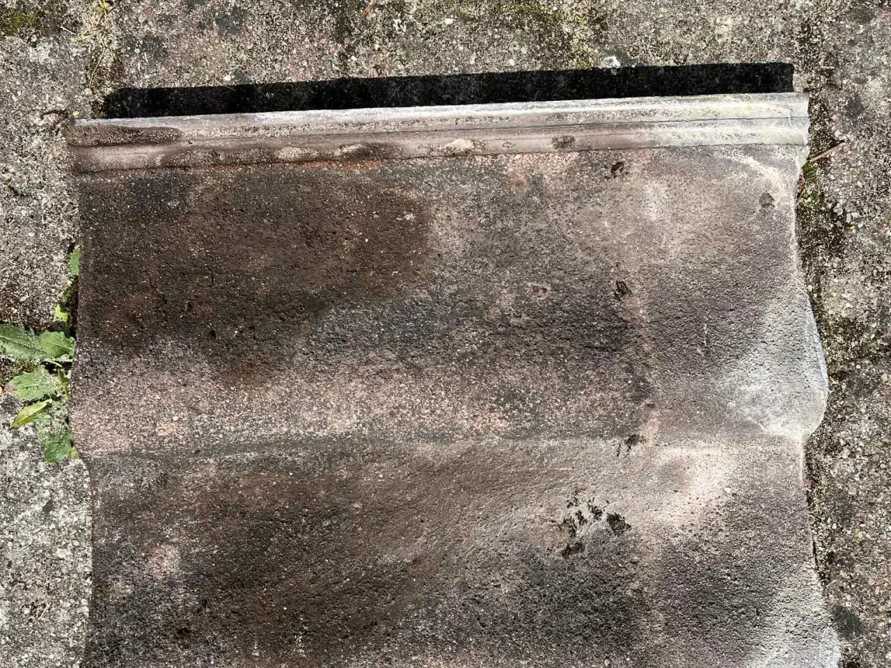 Billede 2 - Braas betontagsten, dobbel S pfanne