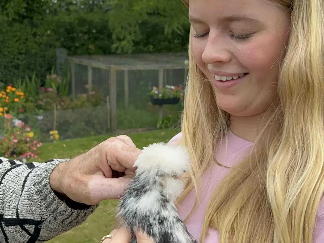 Billede 2 - Bløde bamselignende hønekyllinger