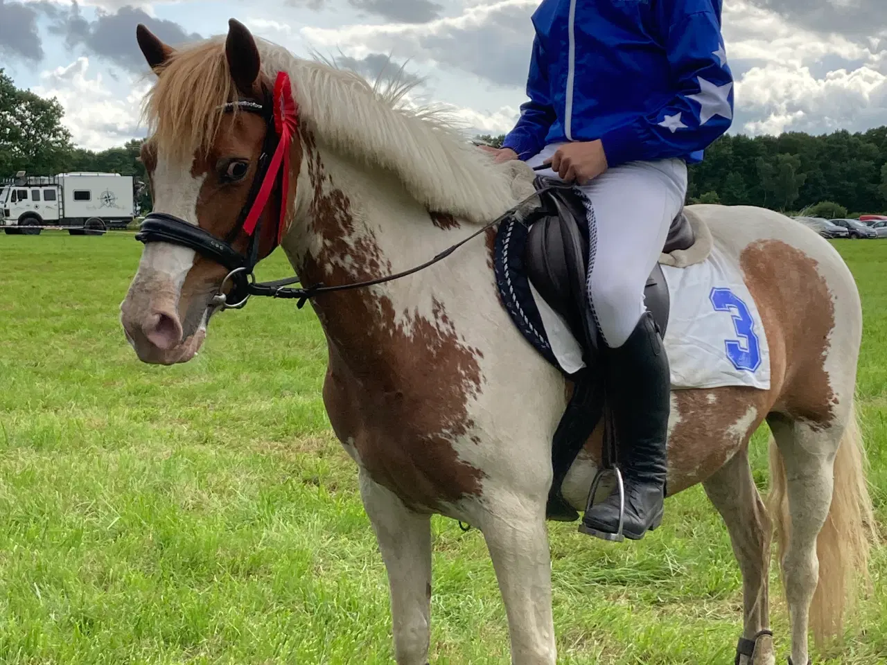 Billede 2 - Sød 2’er pony sælges 