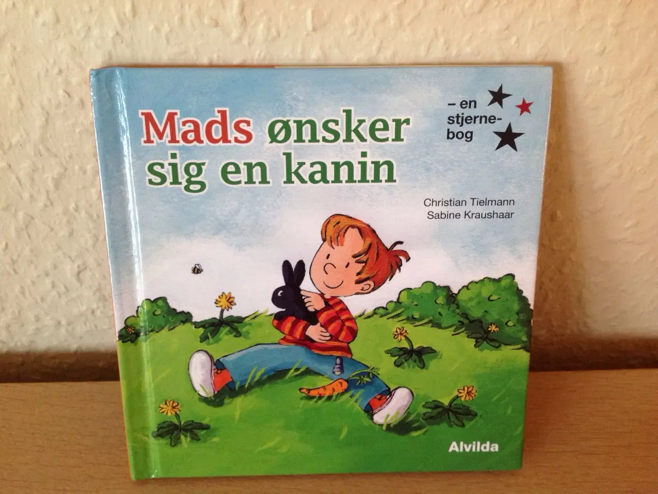 Billede 1 - Mads ønsker sig en kanin