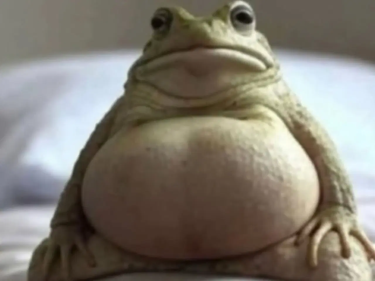 Billede 1 - Kan ikke finde slette annonce knappen 