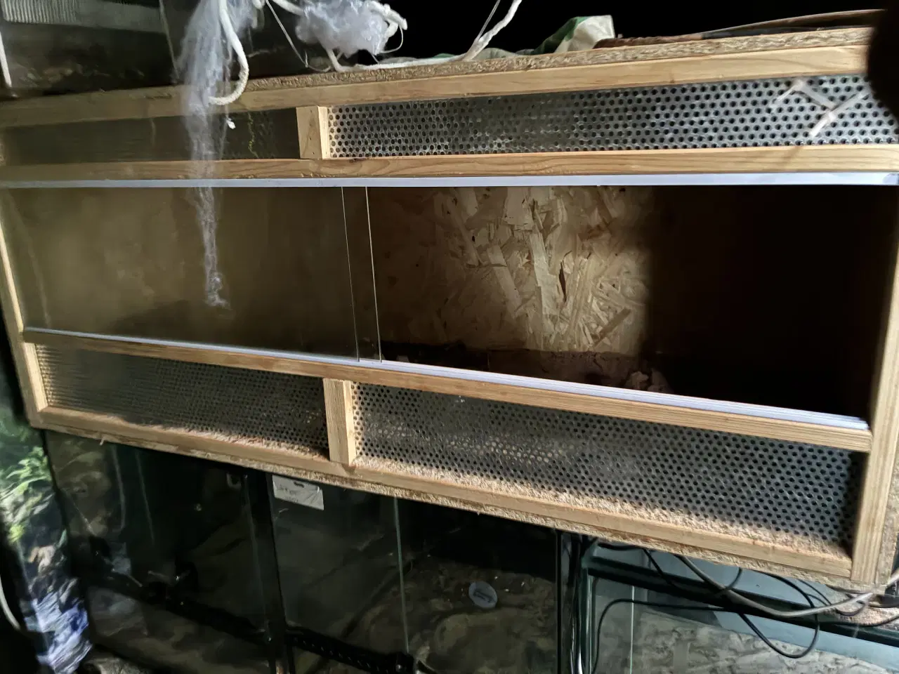 Billede 2 - Div terrarier sælges 