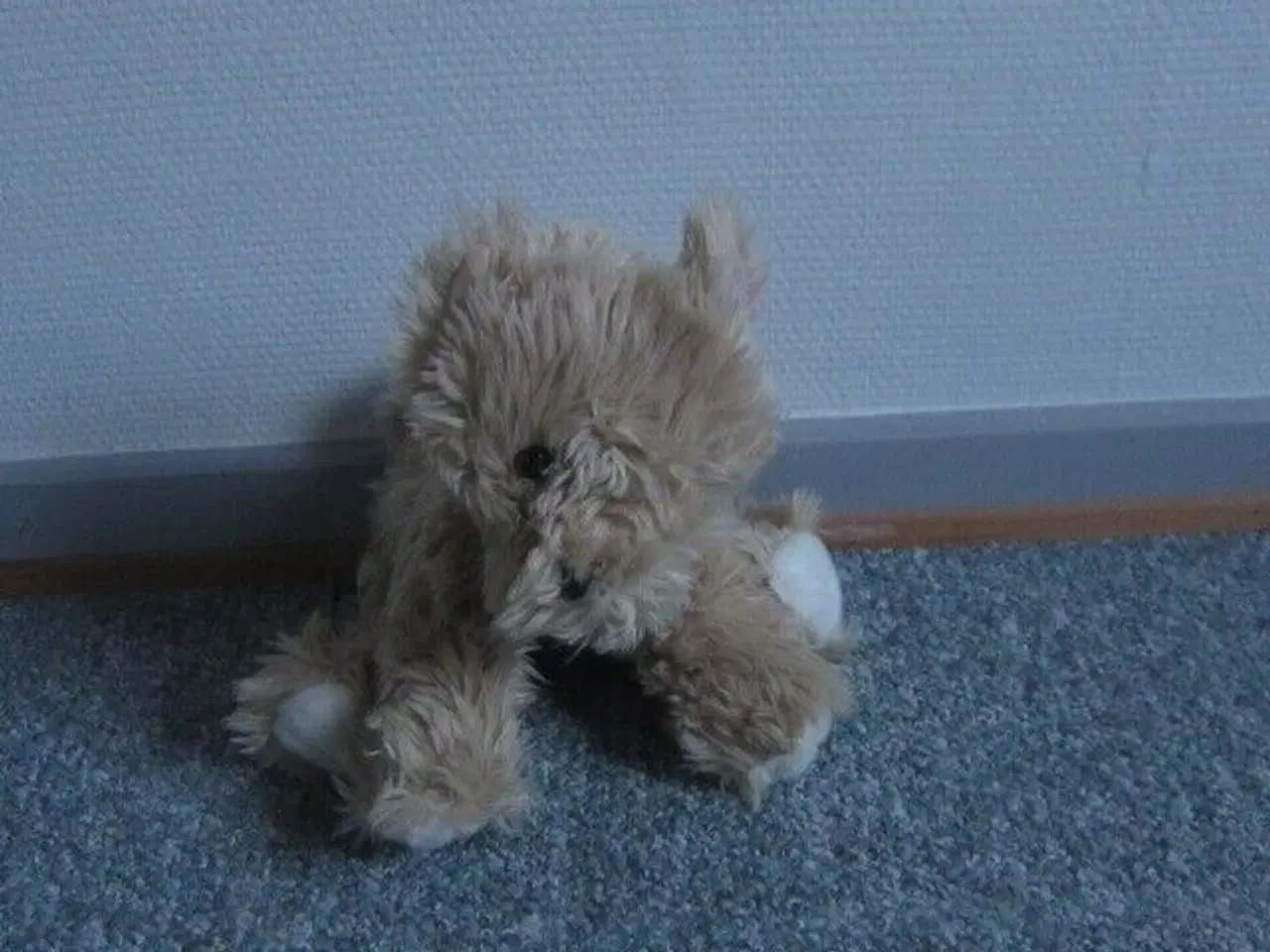 Billede 2 - Bamse, Hemogram