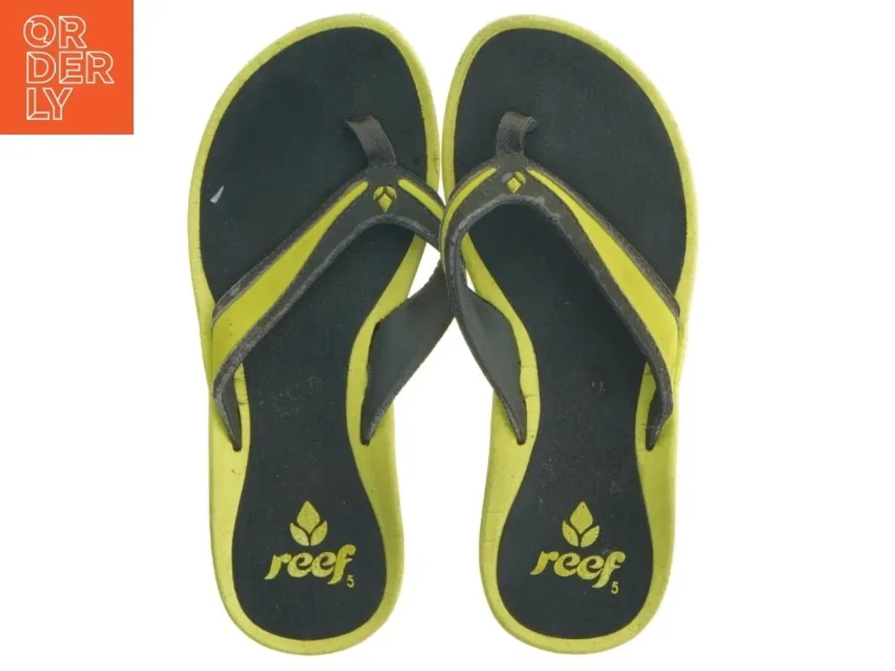 Billede 1 - Reef klipklapper fra Reef (str. Længde. 24 cm)