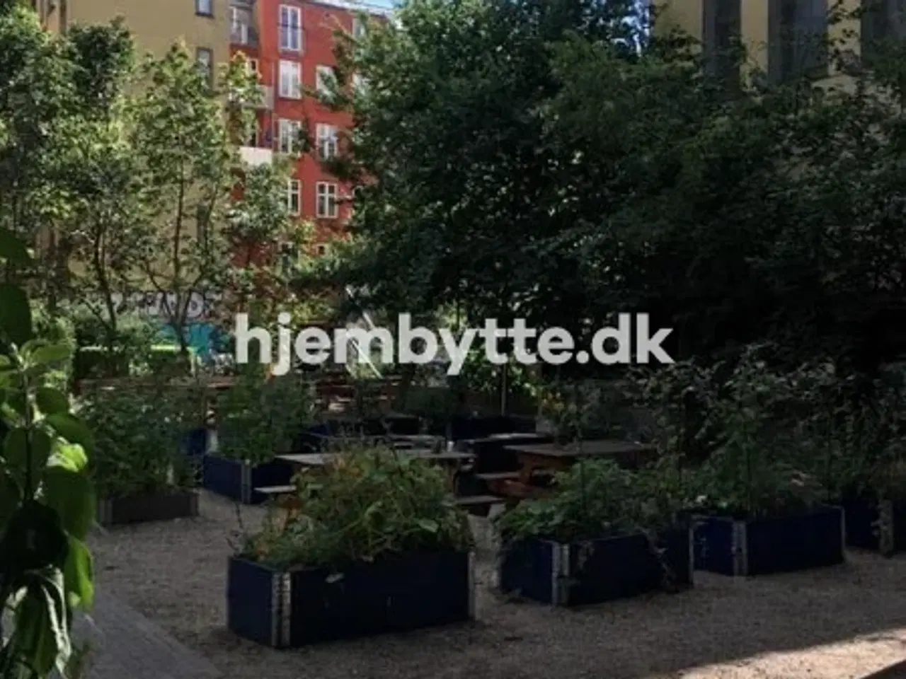 Billede 4 - Hjembytte - Todesgade