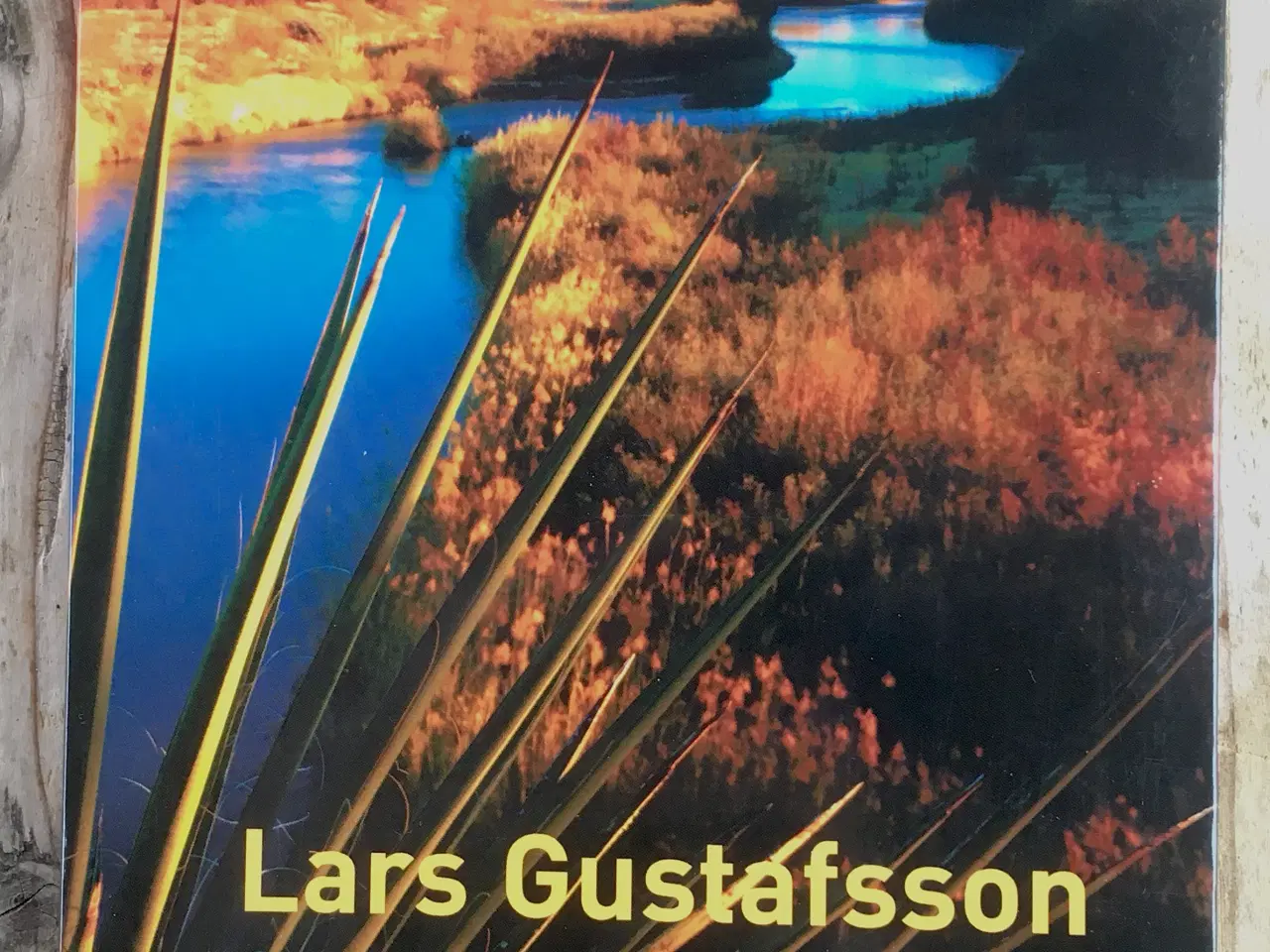 Billede 1 - Dekanen, Lars Gustafsson, genre: krimi og spænding