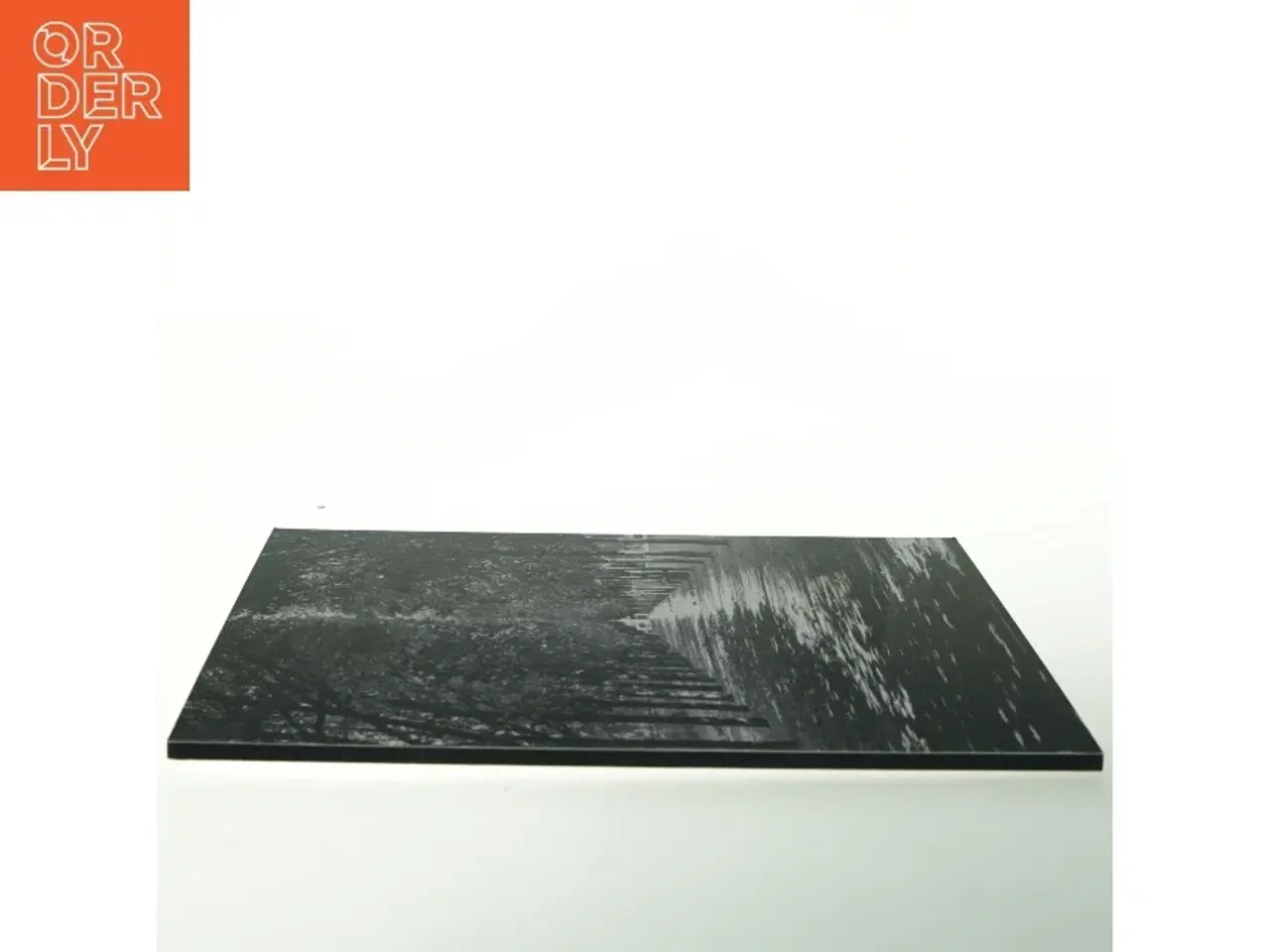 Billede 3 - Sort/hvid billede af en træallé (str. 32. x 24 cm)