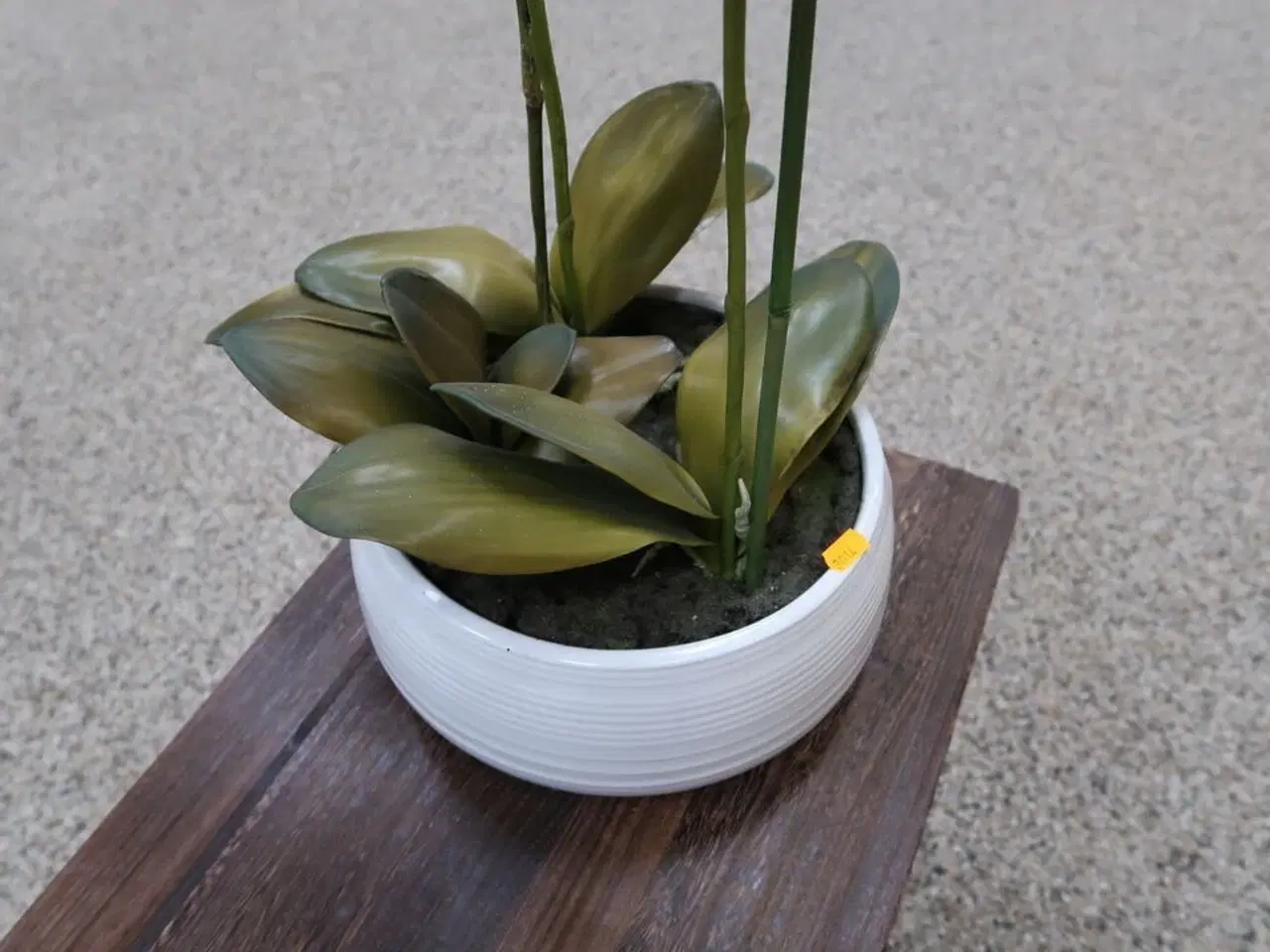 Billede 3 - Kunstig Plante i Krukke samt LED Lampe