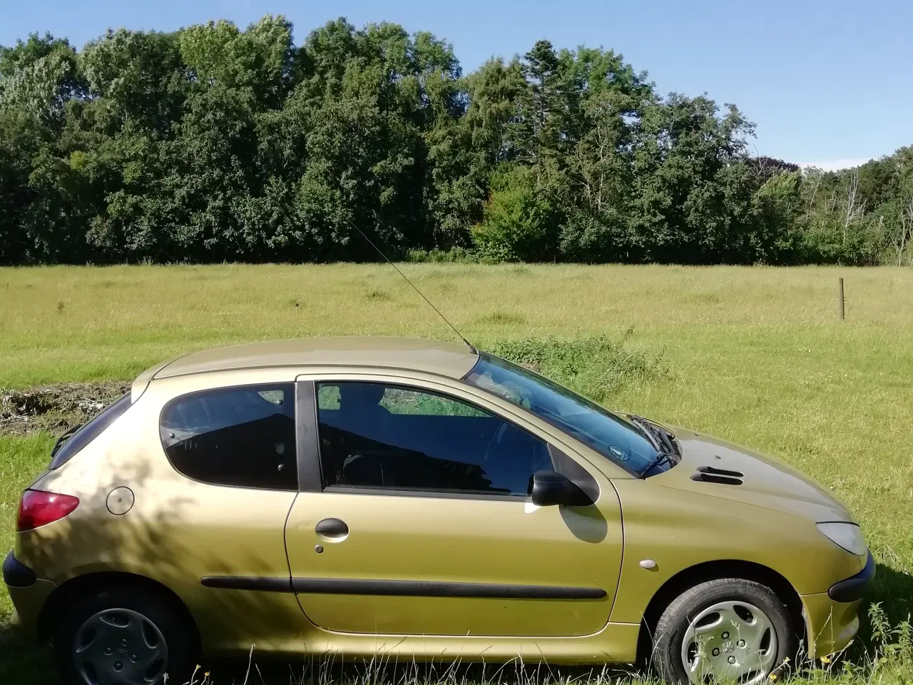 Billede 3 - Peugeot 206 Nysynet 