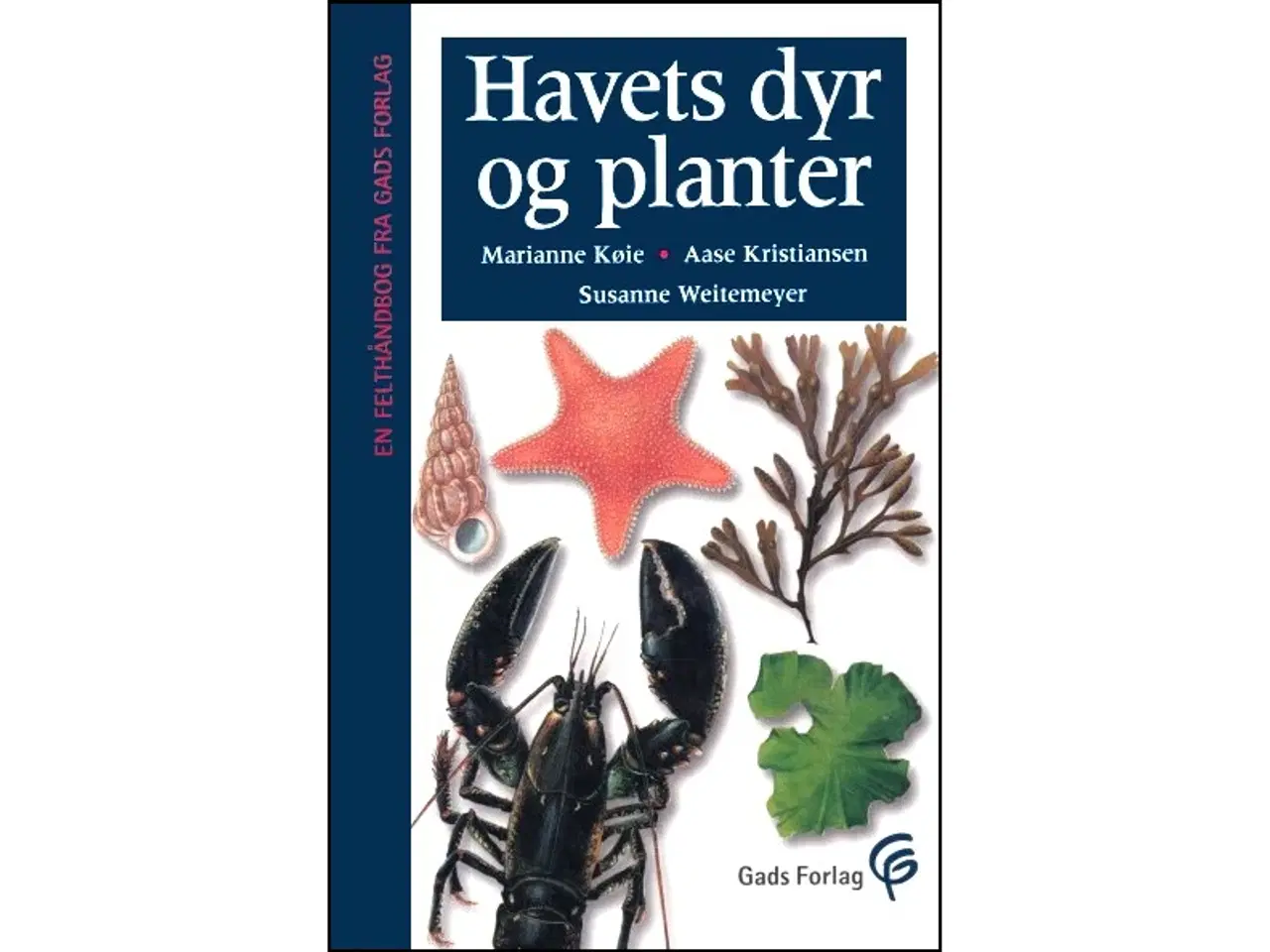 Billede 1 - Havets dyr og planter