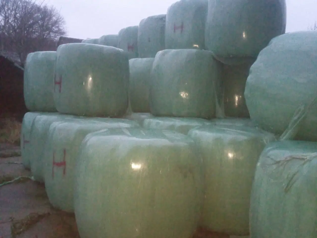 Billede 2 - Wrappet enggræs, i rundballer