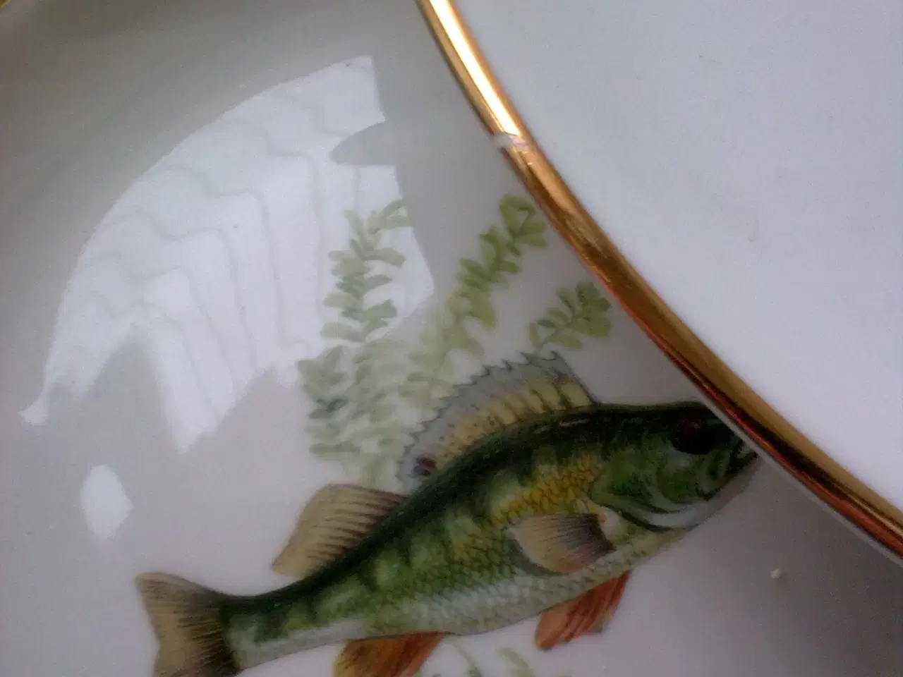 Billede 3 - Fisk gaven til en ven. Frokost T2 SÆT m fad