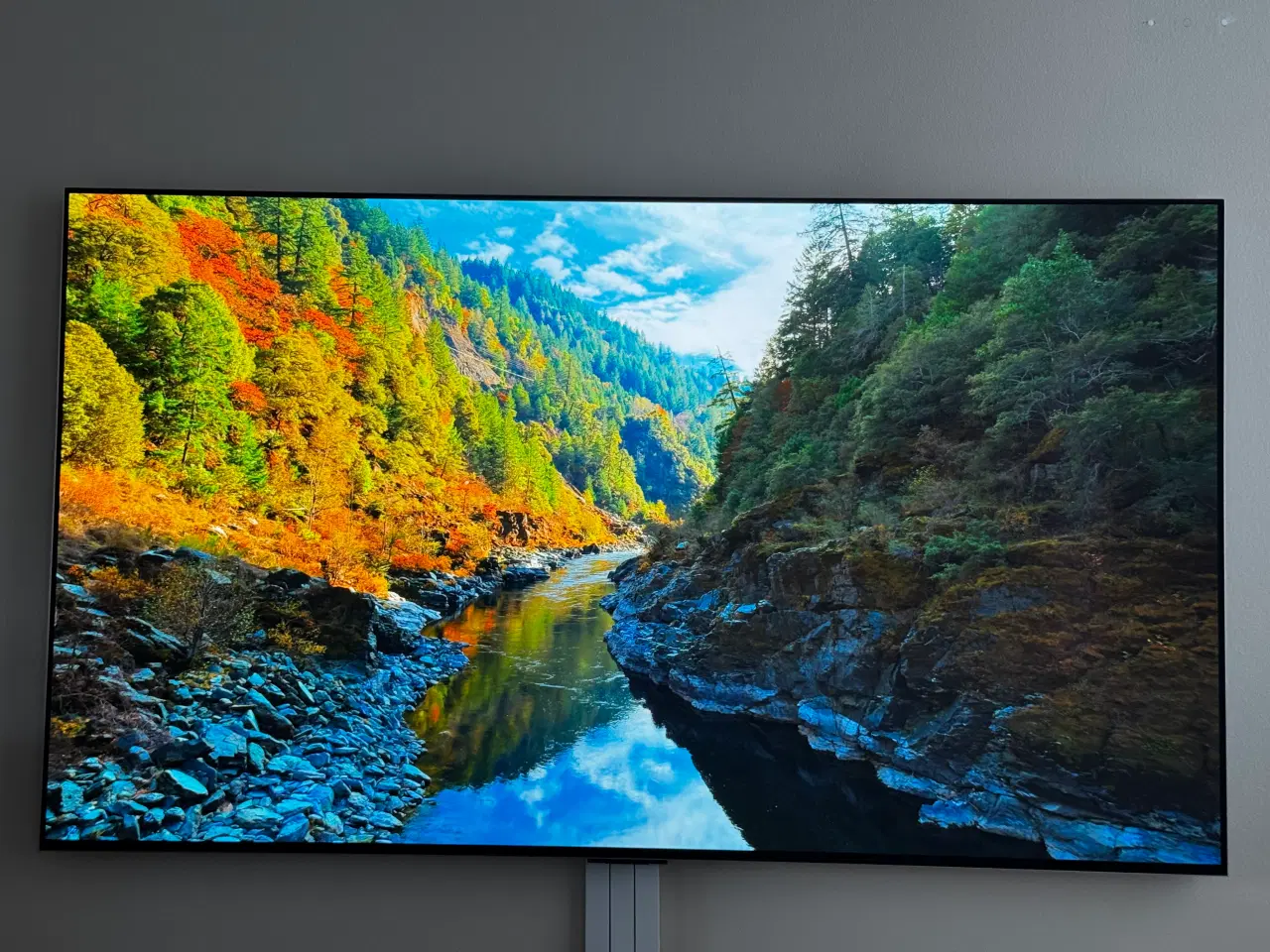 Billede 6 - LG OMED G4 4K 55” 