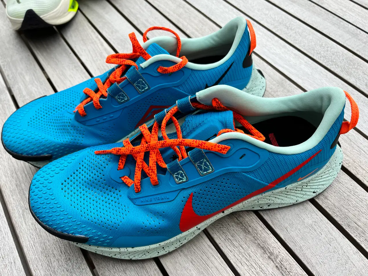 Billede 1 - Nike Pegasus Trail 3