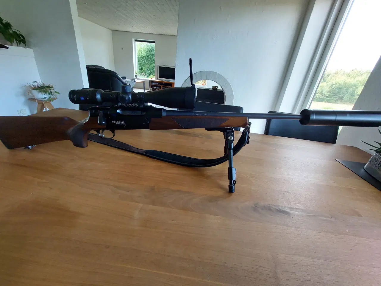 Billede 3 - Strasser Rs Solo Evolution 30.06