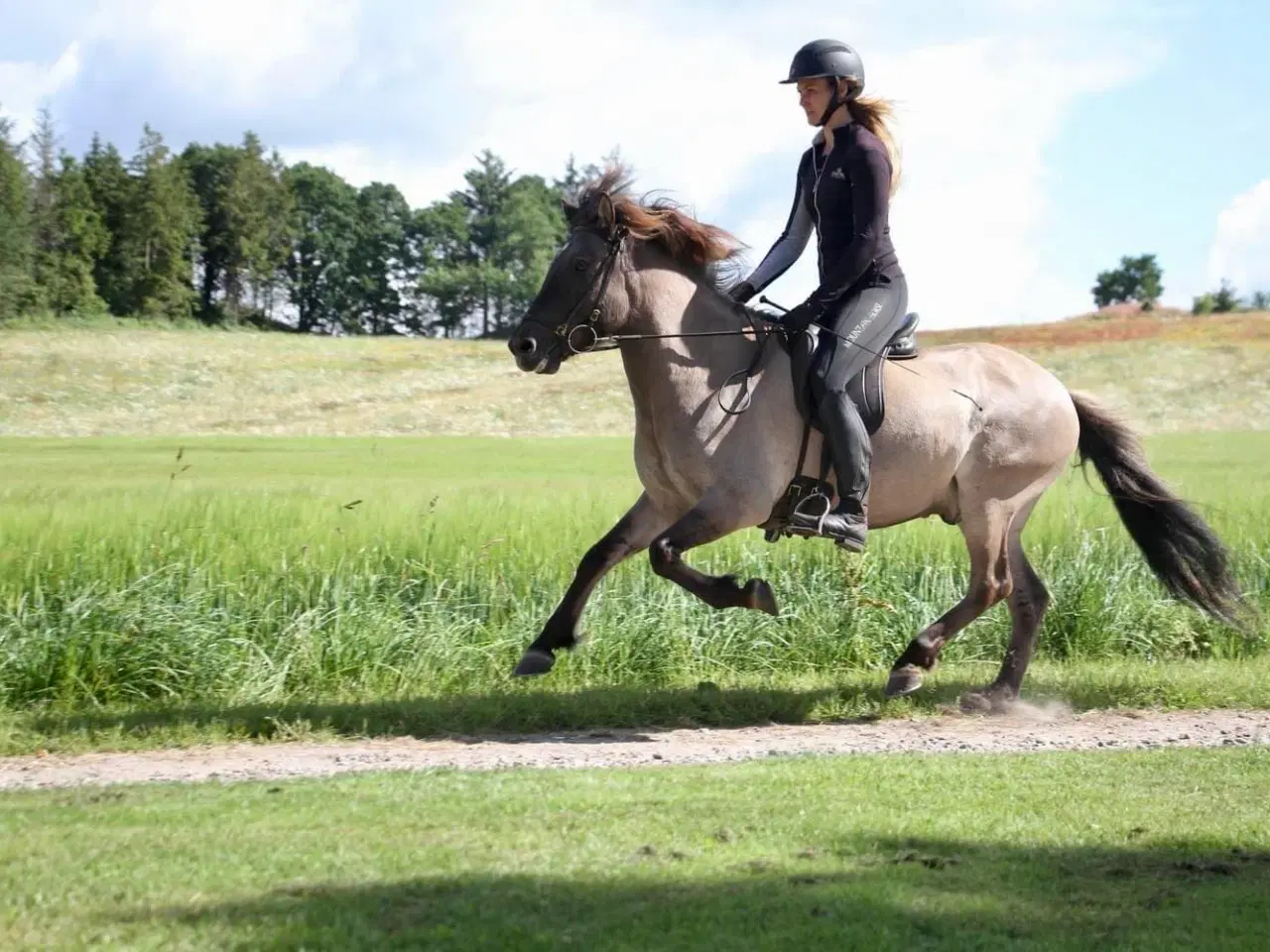 Billede 1 - Gode bevægelser, godt sind og smuk farve- video ka