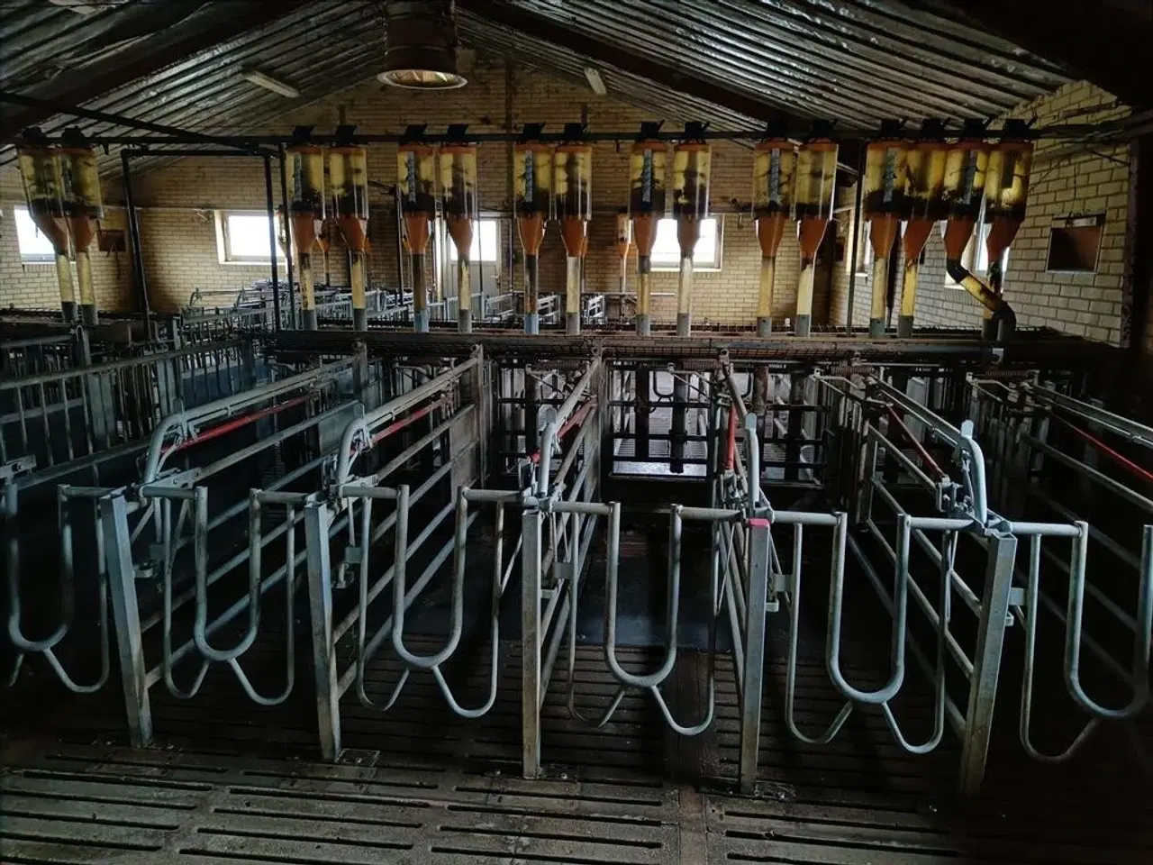 Billede 4 - - - - Egebjerg Æde / hvile boks ca. 400 stk.