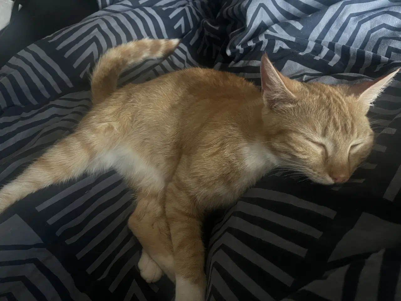 Billede 10 - Dejlige indendørskillinger -Afdrag muligt 