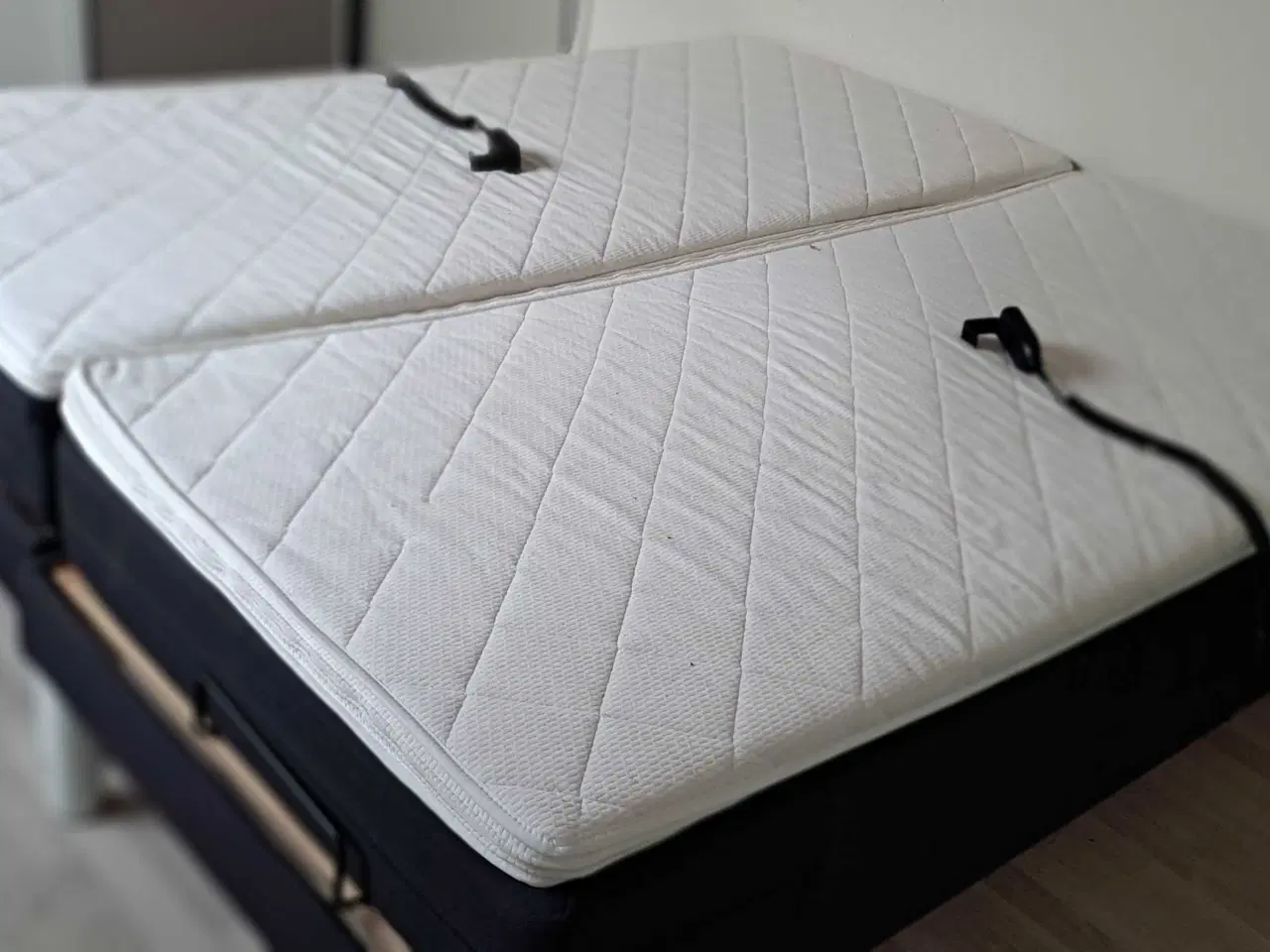 Billede 4 - Anlæg med bas