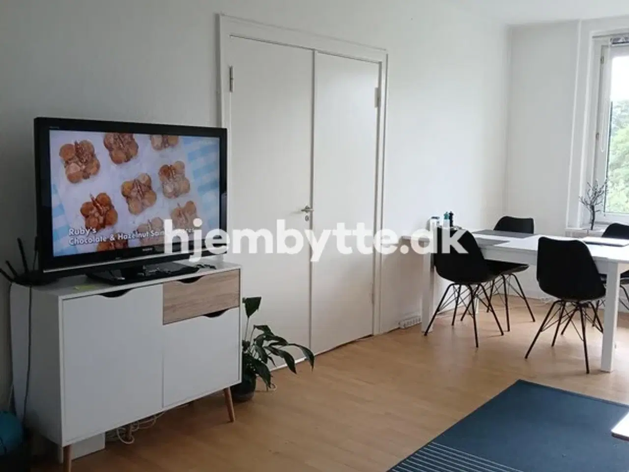 Billede 2 - Hjembytte - Lundtofteparken