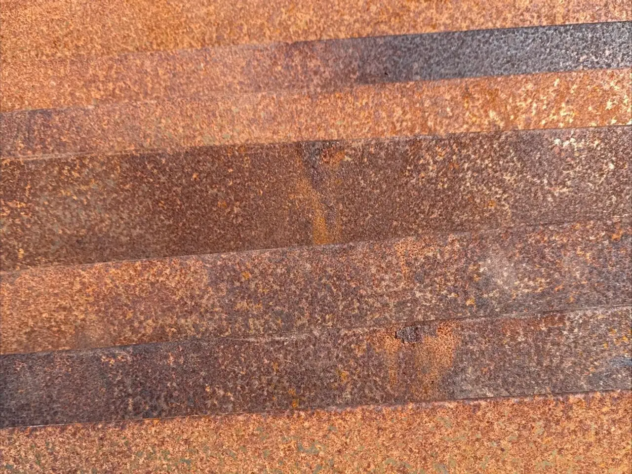 Billede 1 - Sneglehegn