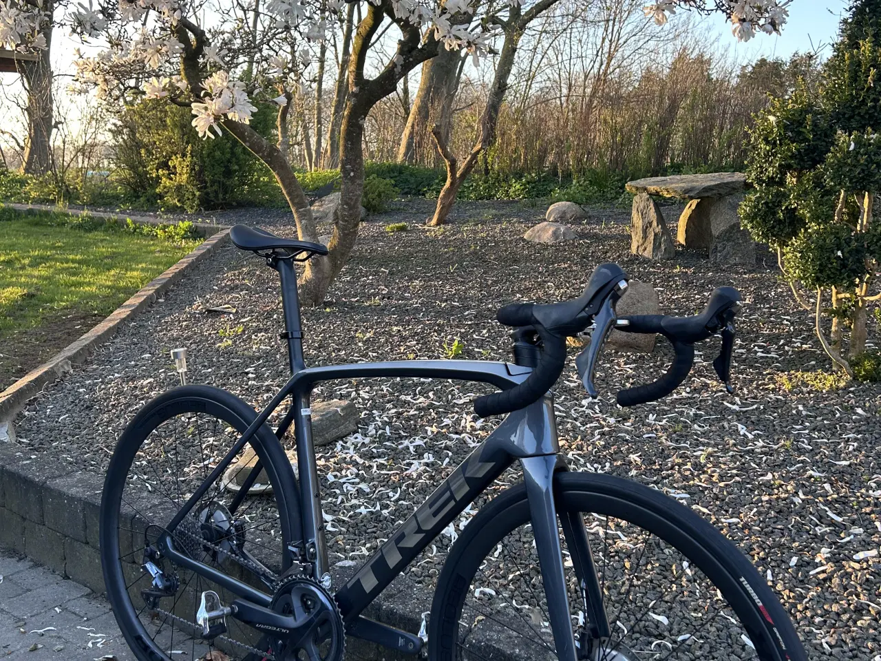 Billede 1 - Trek Émonda SL 6 – 11 speed –  Ultegra – Ca