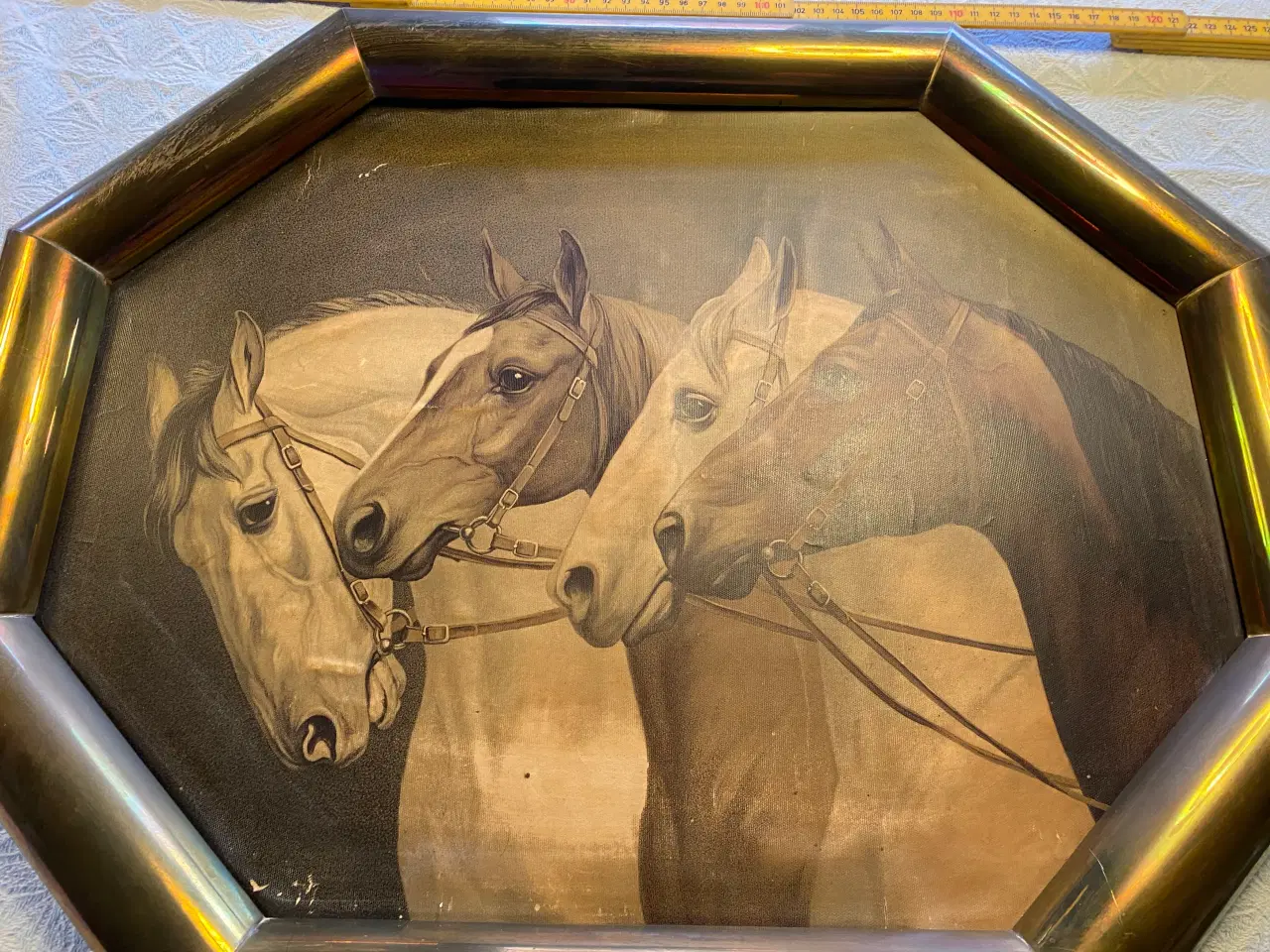 Billede 4 - Billeder med heste