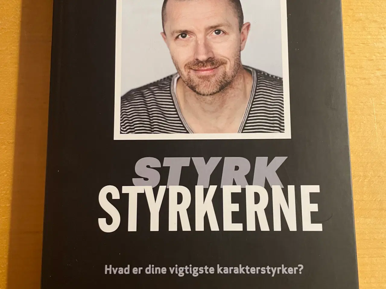 Billede 1 - Styrk styrkerne, Asger Fredslund