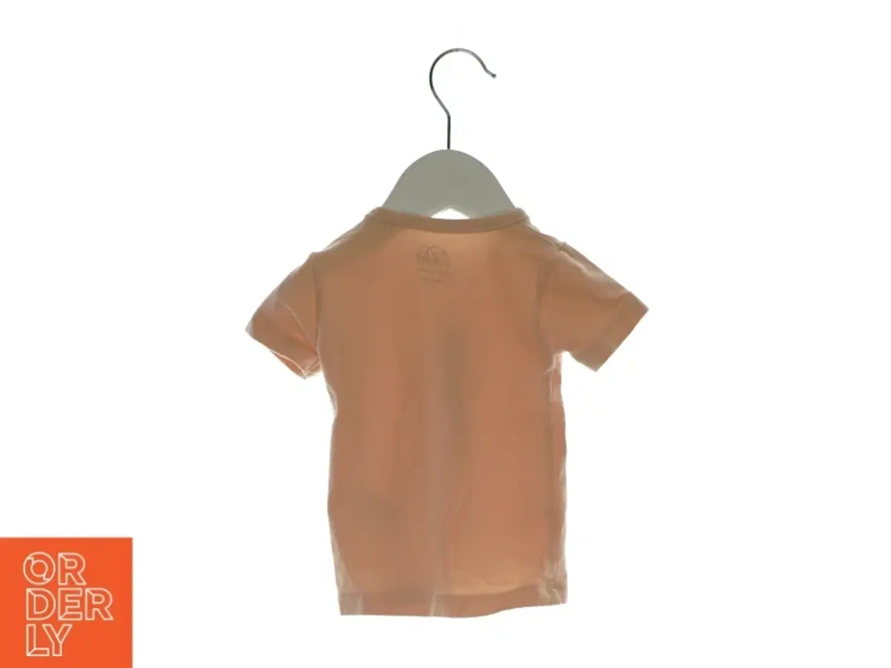 Billede 2 - T-shirt og shorts fra Petit (str 74)