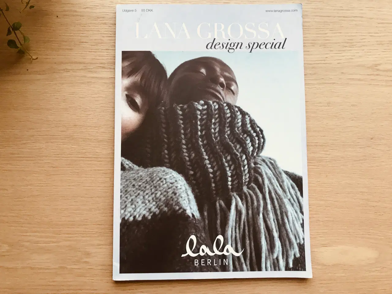 Billede 1 - Lana Grossa:  design special No. 5