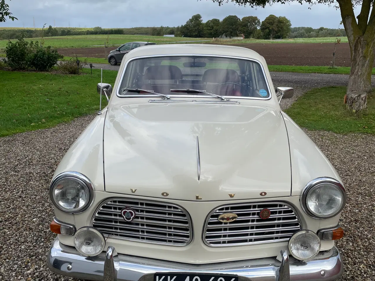 Billede 4 - Volvo Amazon velholdt på sorte plader