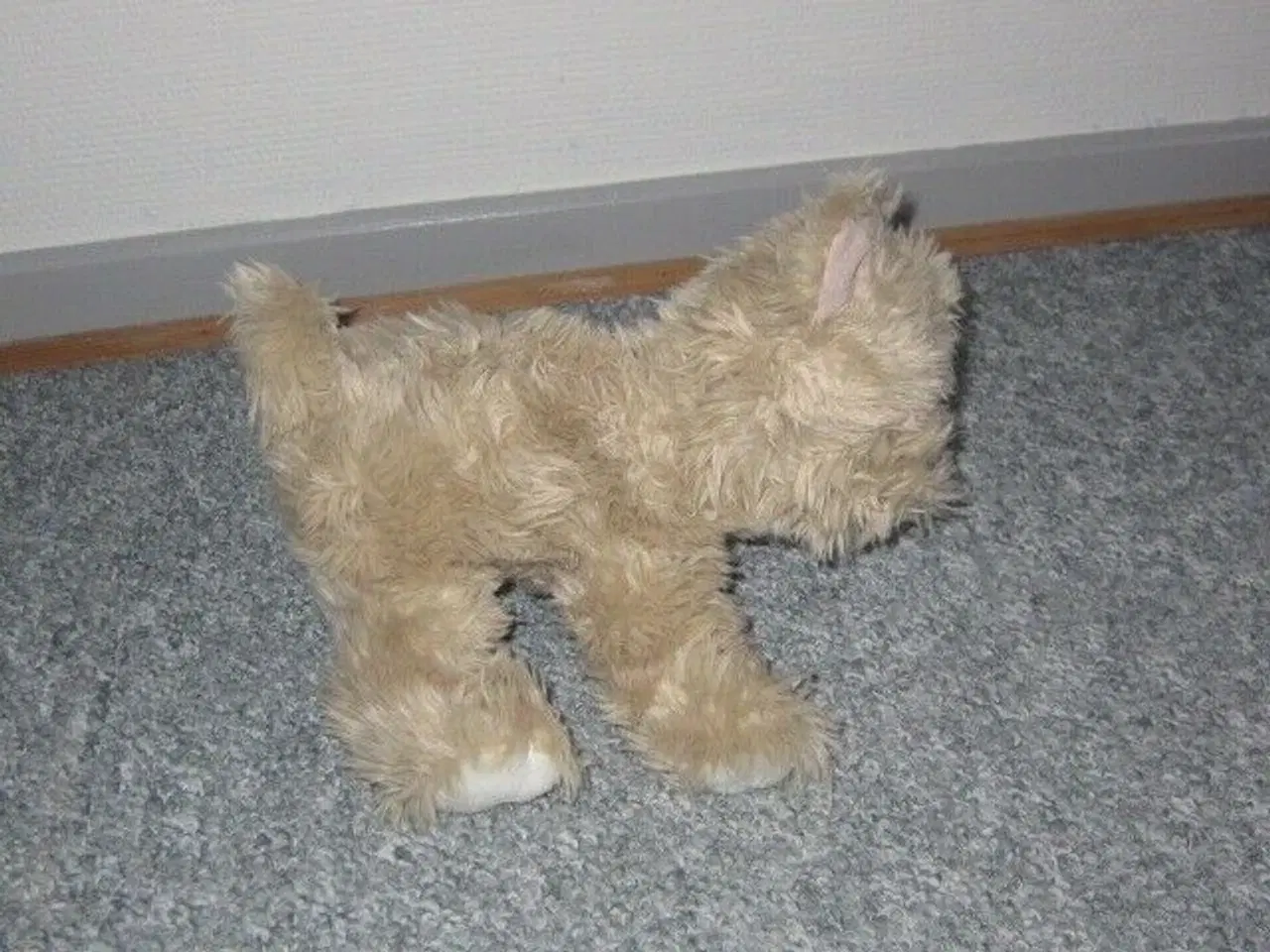 Billede 2 - Bamse, Hemogram