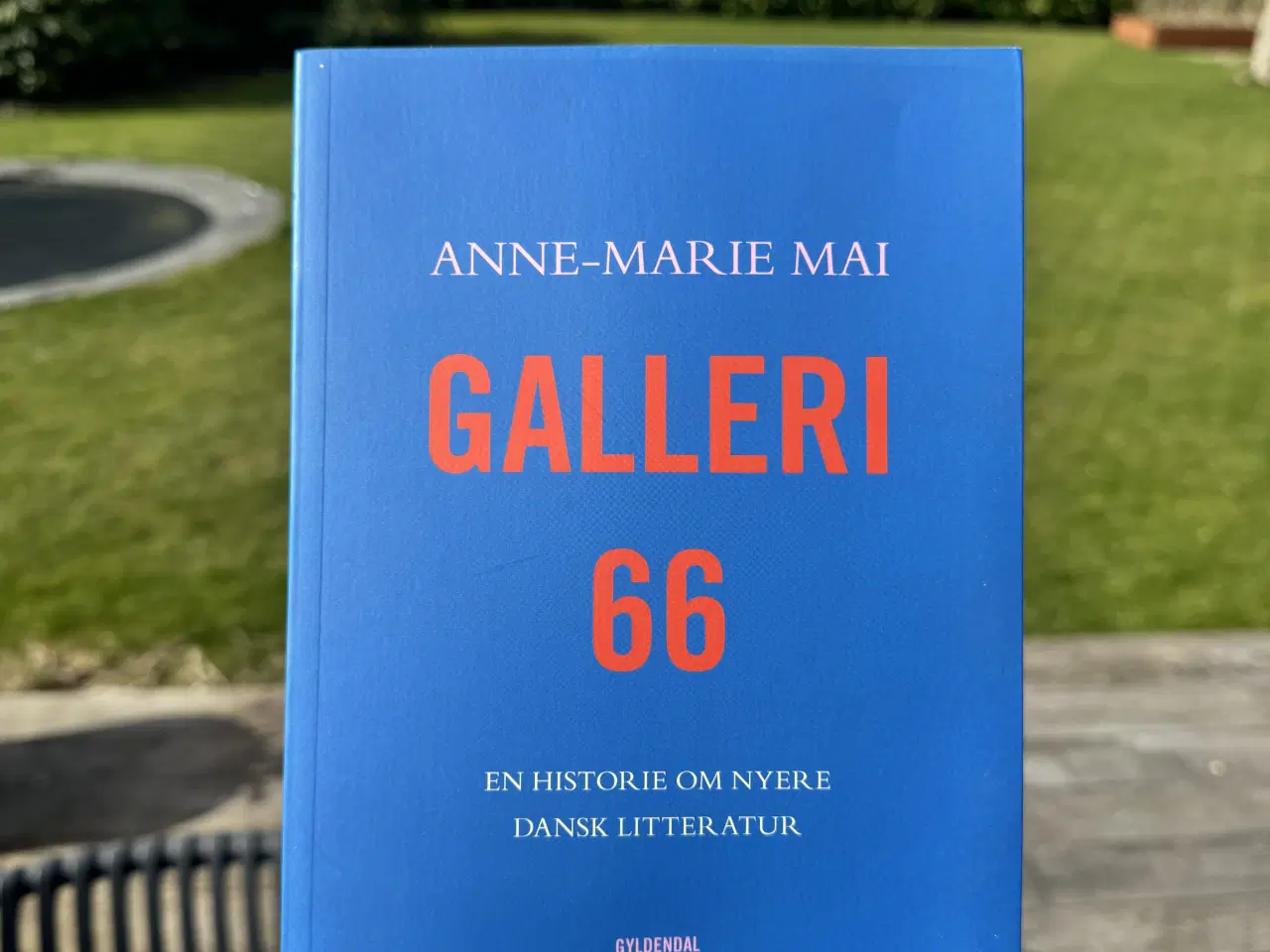 Billede 1 - Galleri 66 af Anne-Marie Mai