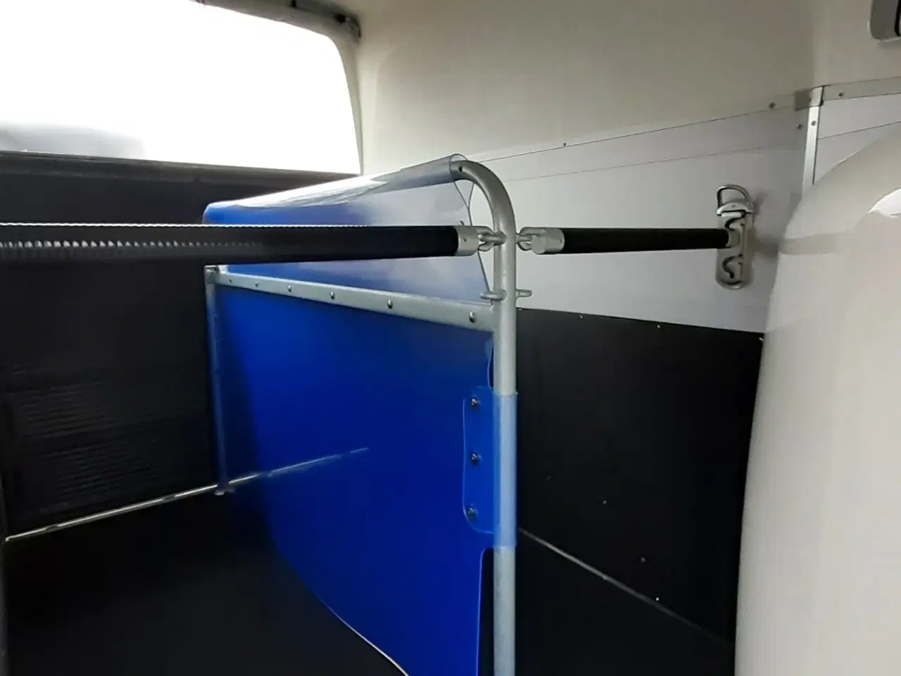 Billede 6 - Böckmann Champion Esprit (Udstilling)