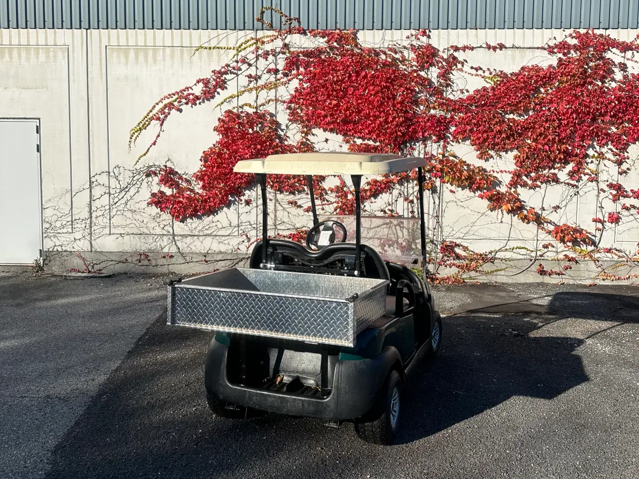 Billede 3 - Club Car President Handymana